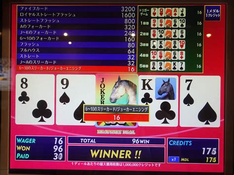 dx1bet