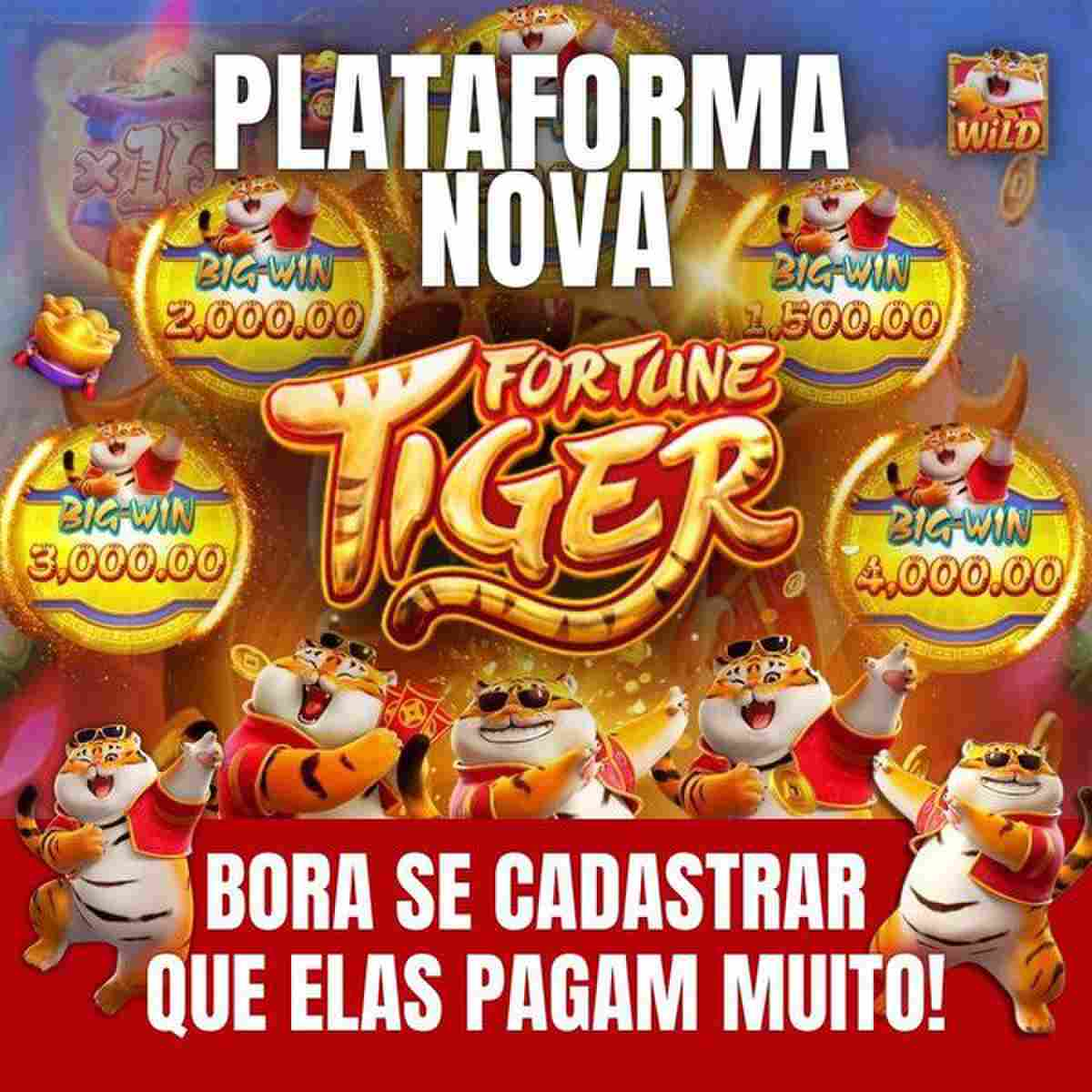 5g bet tigre