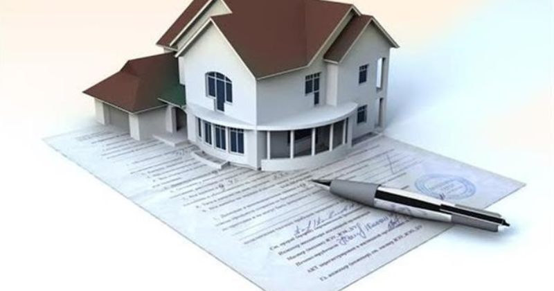 Người Thừa Kế Không Phụ Thuộc Vào Nội Dung Di Chúc Năm 2026 5 Phần di sản được hưởng